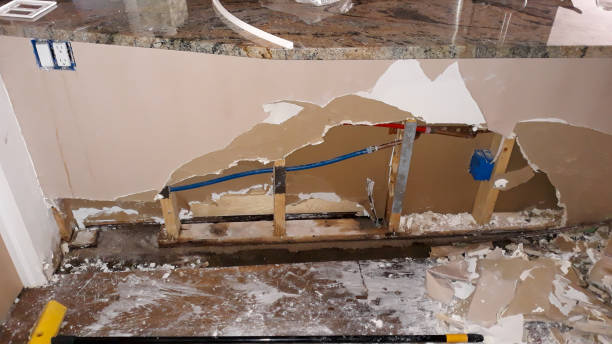 Best Basement water damage restoration  in Oregon, OH